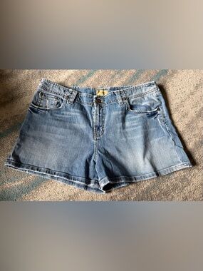 BKE Size 34 Denim Women's Jean Shorts
